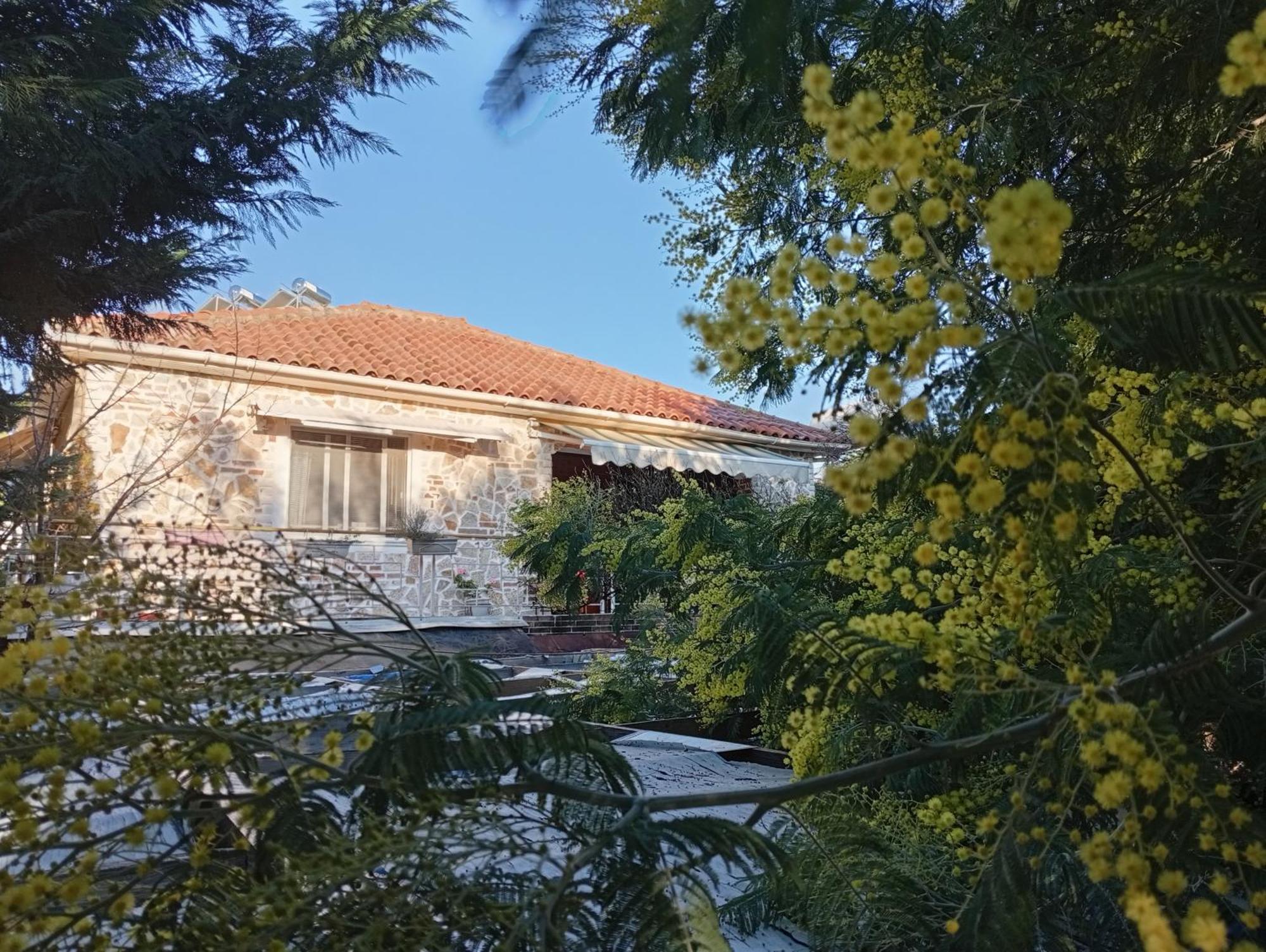 Arti Vila Ksamil Exterior foto